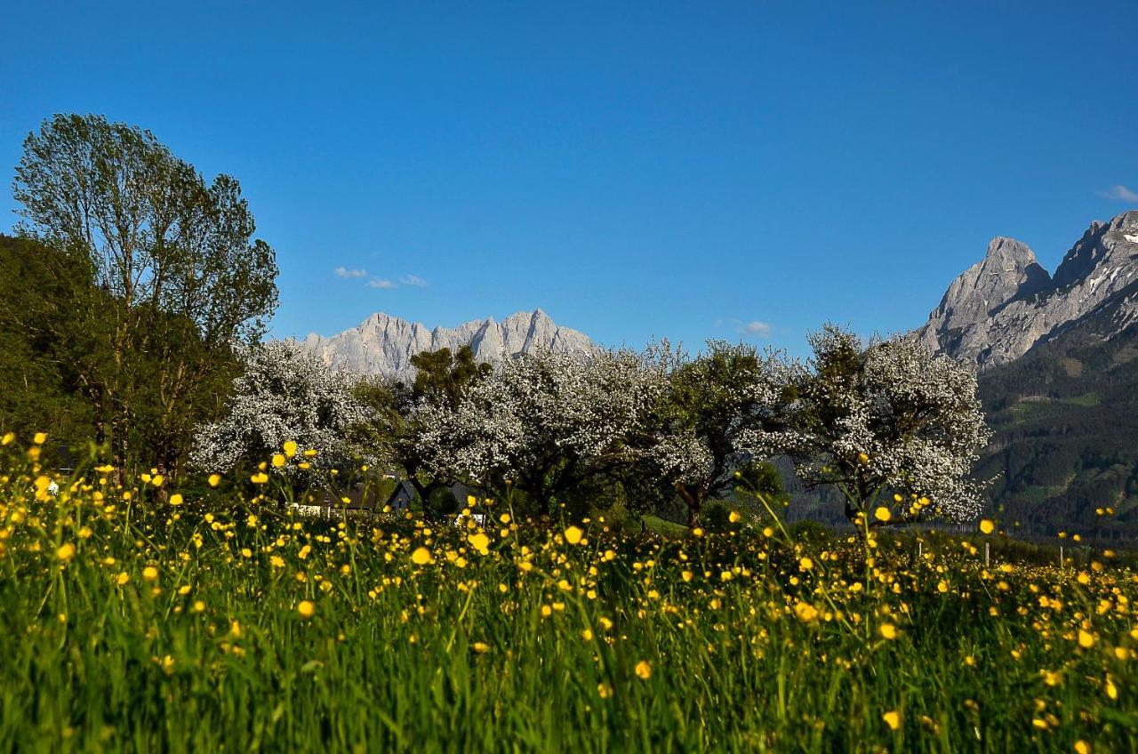 Haus Rosina Βίλα Admont Εξωτερικό φωτογραφία