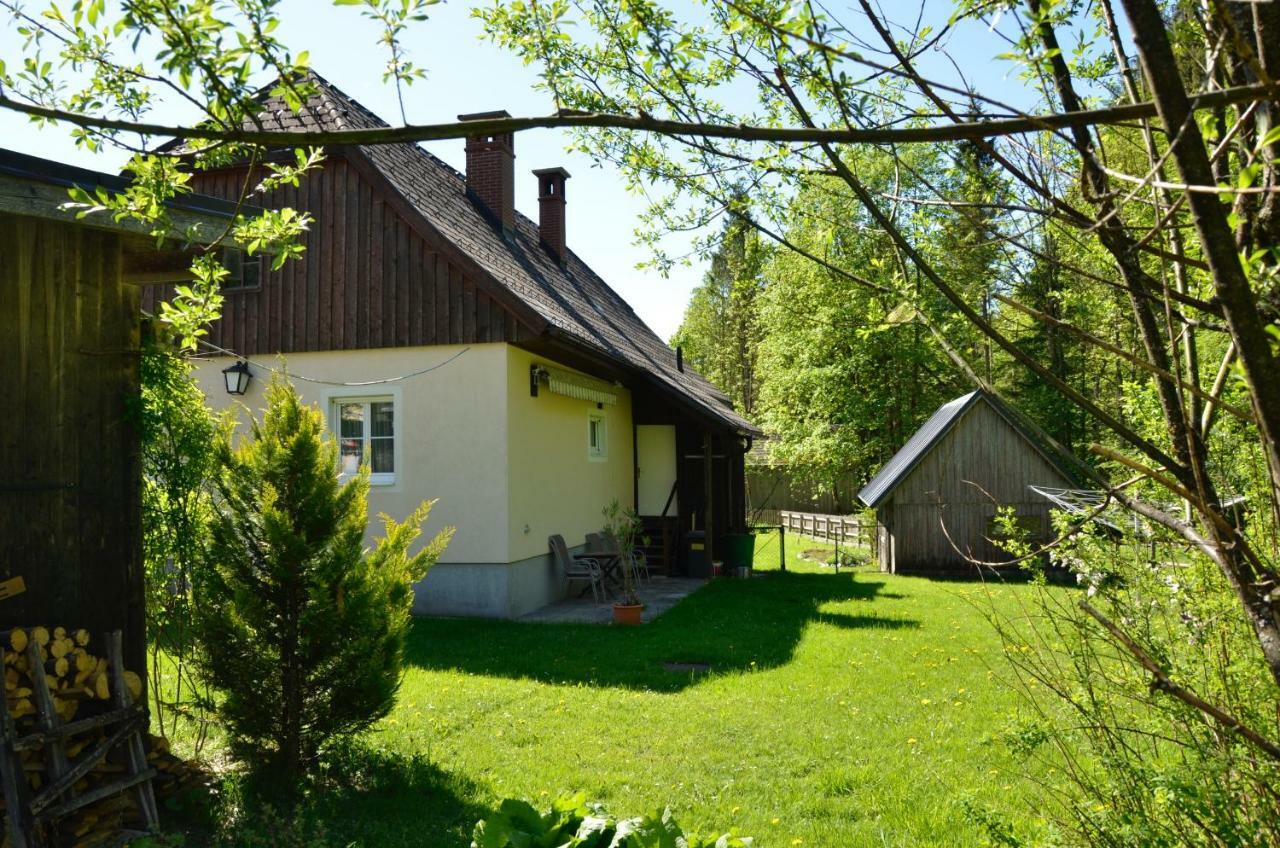Haus Rosina Βίλα Admont Εξωτερικό φωτογραφία